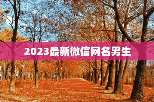 2023最新微信网名男生